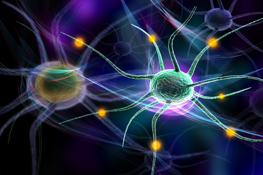Valencia Ray, NeuroReInvention, Mindset, Self-awareness, Leadership, Performance